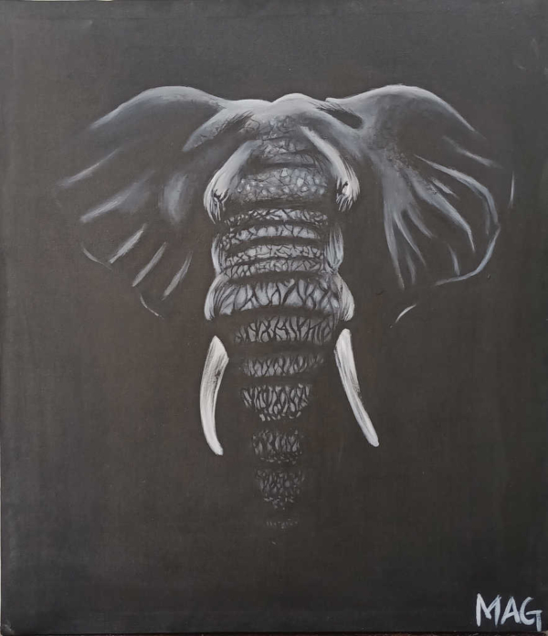 elephant