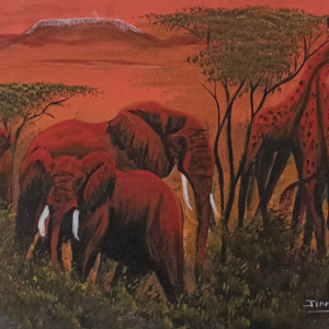 african-sunset
