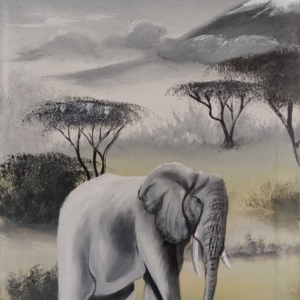 elephant-black&white