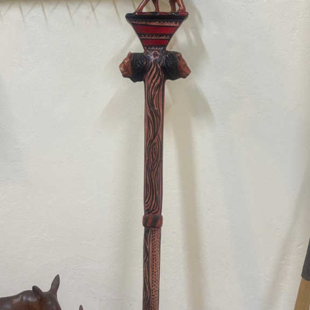 walking-stick