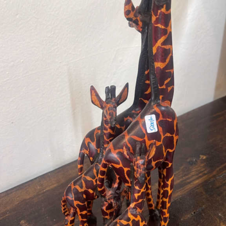 giraffes